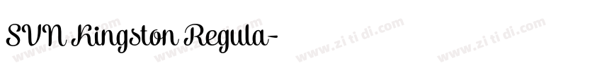 SVN Kingston Regula字体转换